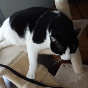 Meet your Posher, Renae